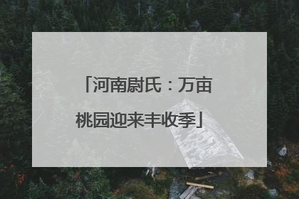 河南尉氏：万亩桃园迎来丰收季