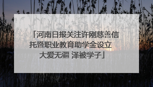 河南日报关注许刚慈善信托暨职业教育助学金设立 大爱无疆 泽被学子
