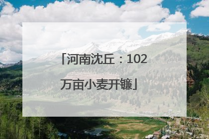 河南沈丘：102 万亩小麦开镰