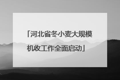 河北省冬小麦大规模机收工作全面启动