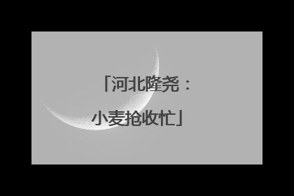 河北隆尧：小麦抢收忙