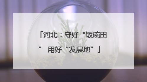 河北：守好“饭碗田” 用好“发展地”