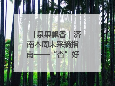 泉果飘香｜济南本周末采摘指南——“杏”好遇见你！