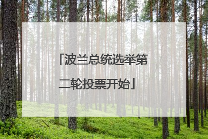 波兰总统选举第二轮投票开始