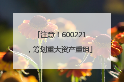 注意！600221，筹划重大资产重组