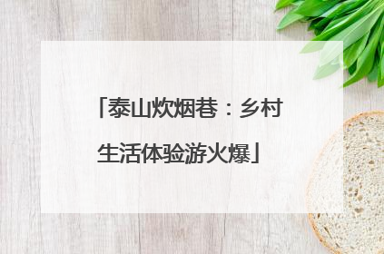 泰山炊烟巷：乡村生活体验游火爆