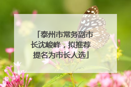 泰州市常务副市长沈峻峰，拟推荐提名为市长人选