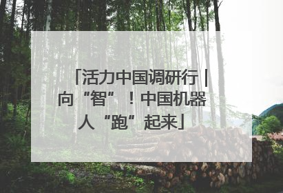 活力中国调研行｜向“智”！中国机器人“跑”起来