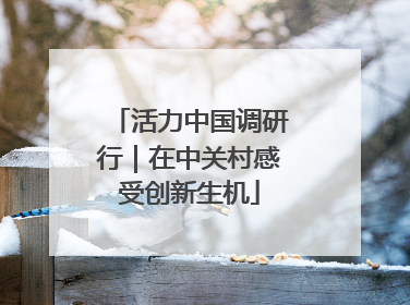 活力中国调研行｜在中关村感受创新生机