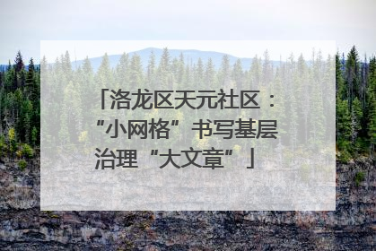 洛龙区天元社区：“小网格”书写基层治理“大文章”