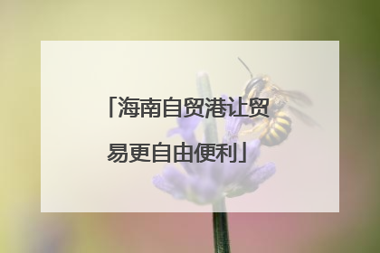 海南自贸港让贸易更自由便利