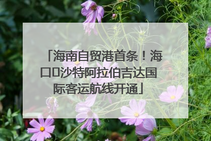 海南自贸港首条！海口⇌沙特阿拉伯吉达国际客运航线开通