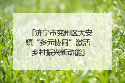 济宁市兖州区大安镇“多元协同”激活乡村振兴新动能