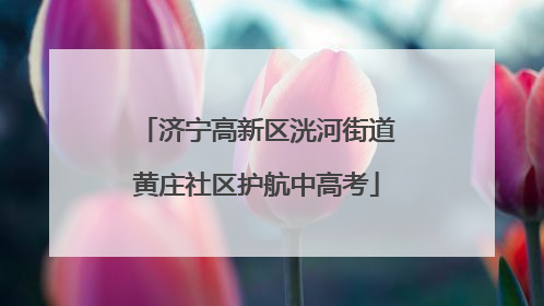 济宁高新区洸河街道黄庄社区护航中高考