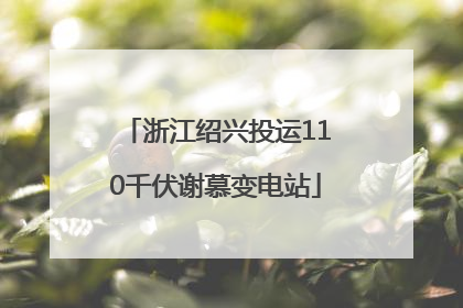 浙江绍兴投运110千伏谢慕变电站