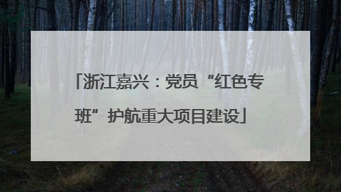 浙江嘉兴：党员“红色专班”护航重大项目建设