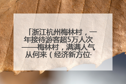 浙江杭州梅林村，一年接待游客超5万人次——梅林村，满满人气从何来（经济新方位·农村消费观察）