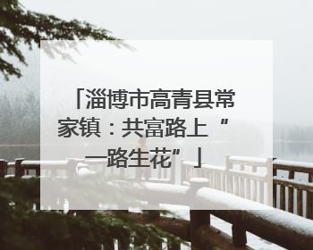淄博市高青县常家镇：共富路上“一路生花”