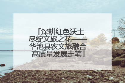 深耕红色沃土 尽绽文旅之花——华池县农文旅融合高质量发展走笔