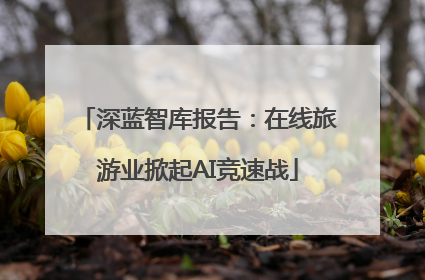 深蓝智库报告：在线旅游业掀起AI竞速战