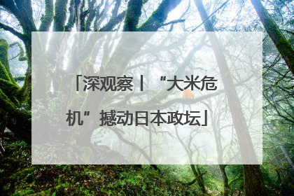 深观察丨“大米危机”撼动日本政坛