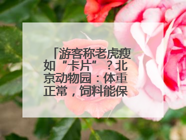 游客称老虎瘦如“卡片”？北京动物园：体重正常，饲料能保障营养需求