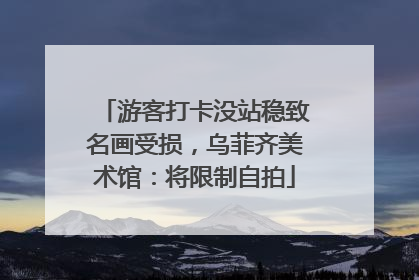 游客打卡没站稳致名画受损，乌菲齐美术馆：将限制自拍