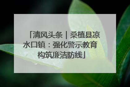 清风头条｜桑植县凉水口镇：强化警示教育 构筑廉洁防线