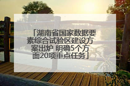 湖南省国家数据要素综合试验区建设方案出炉 明确5个方面20项重点任务