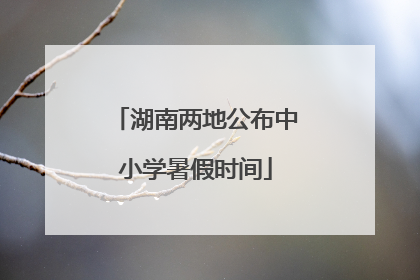 湖南两地公布中小学暑假时间