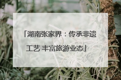 湖南张家界：传承非遗工艺 丰富旅游业态