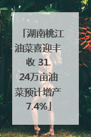 湖南桃江油菜喜迎丰收 31.24万亩油菜预计增产7.4%