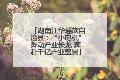 湖南江华瑶族自治县：“小电机”舞动产业长龙 奔赴千亿产业盛景