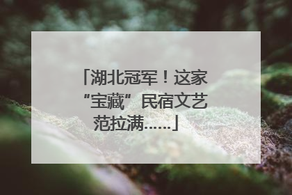 湖北冠军！这家“宝藏”民宿文艺范拉满……