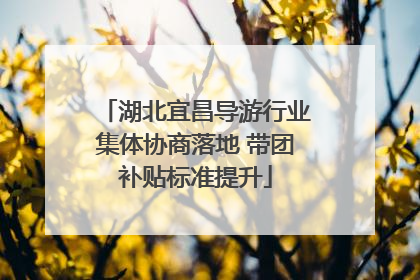 湖北宜昌导游行业集体协商落地 带团补贴标准提升