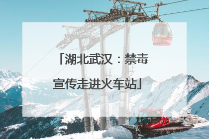 湖北武汉：禁毒宣传走进火车站