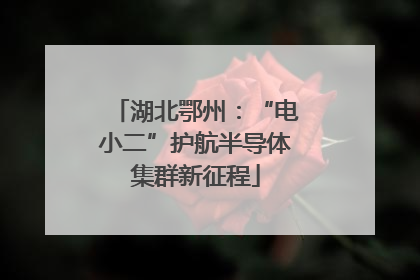 湖北鄂州：“电小二”护航半导体集群新征程