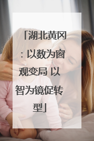 湖北黄冈：以数为窗观变局 以智为镜促转型