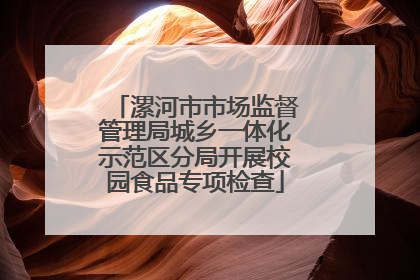 漯河市市场监督管理局城乡一体化示范区分局开展校园食品专项检查