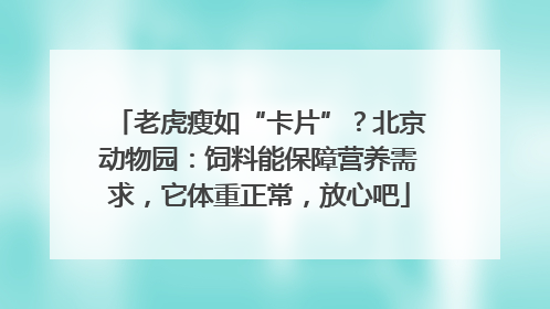 老虎瘦如“卡片”？北京动物园：饲料能保障营养需求，它体重正常，放心吧