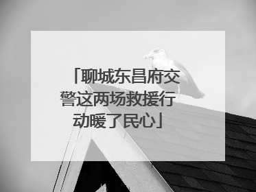 聊城东昌府交警这两场救援行动暖了民心