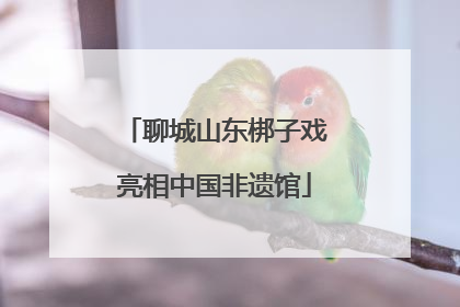 聊城山东梆子戏亮相中国非遗馆