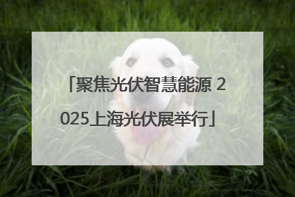聚焦光伏智慧能源 2025上海光伏展举行
