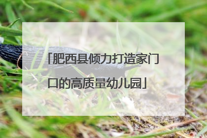 肥西县倾力打造家门口的高质量幼儿园