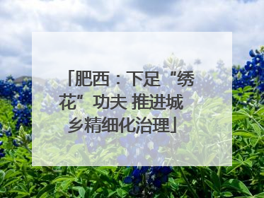 肥西：下足“绣花”功夫 推进城乡精细化治理