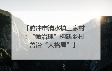 腾冲市清水镇三家村：“微治理”构建乡村善治“大格局”