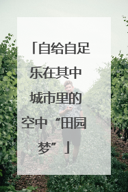 自给自足 乐在其中 城市里的空中“田园梦”