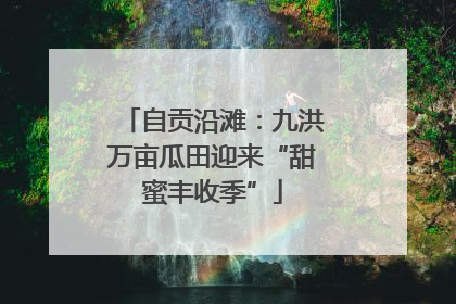 自贡沿滩：九洪万亩瓜田迎来“甜蜜丰收季”