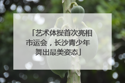 艺术体操首次亮相市运会，长沙青少年舞出最美姿态