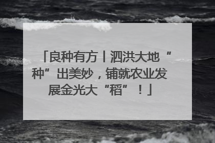 良种有方丨泗洪大地“种”出美妙，铺就农业发展金光大“稻”！